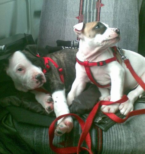 20100208004.jpg
